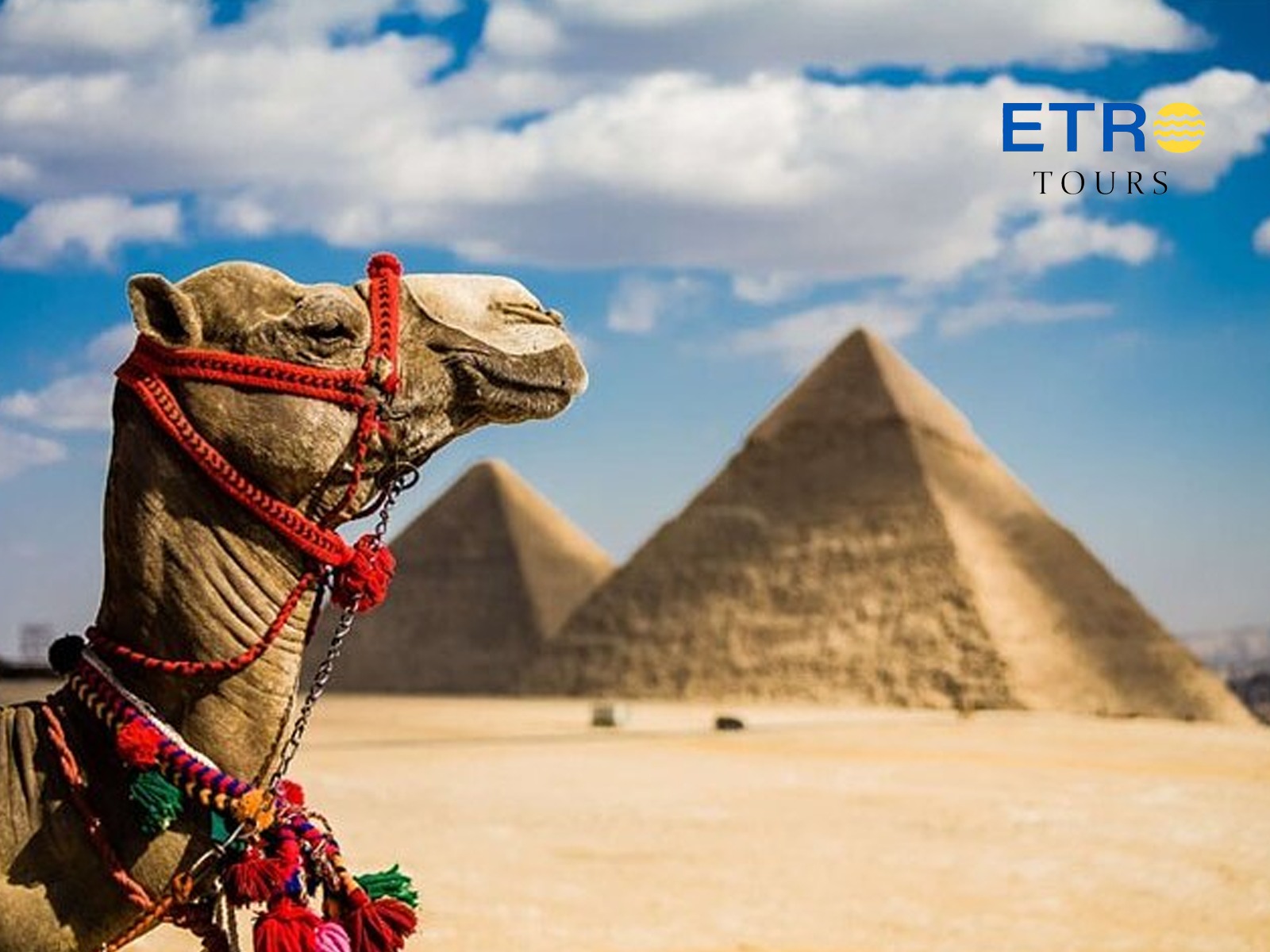 Private Day Tour to Cairo from Sharm El Sheikh by Plane